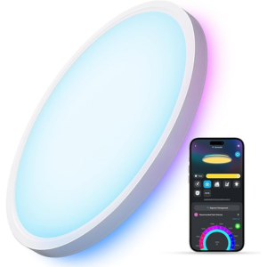 Govee Smart RGBIC LED 12