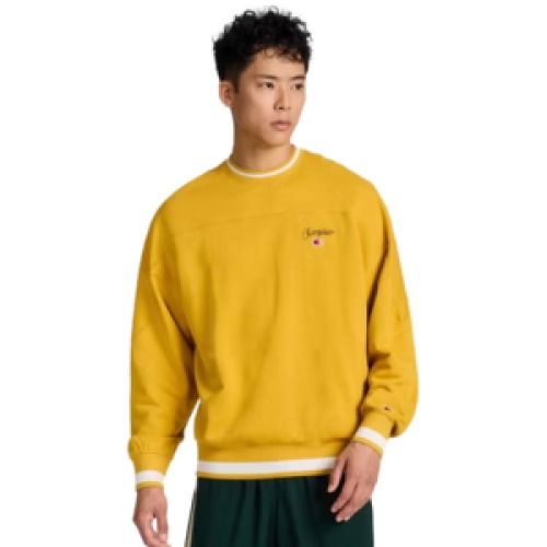 Champion University Small Script Men's Sweatshirt