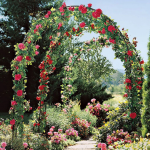 Archway 7' Steel Garden Trellis
