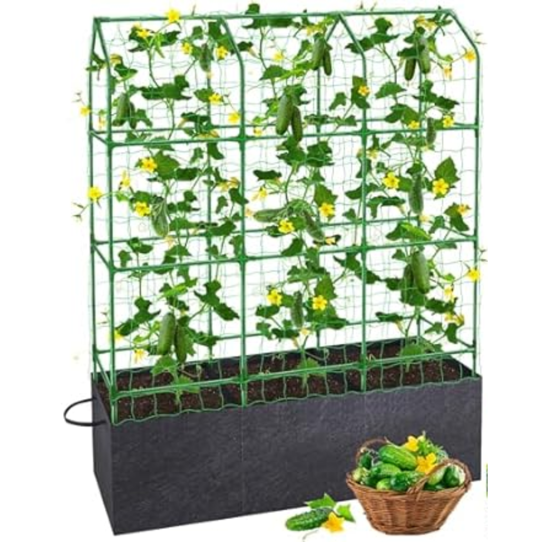 Metal Climbing Plants Trellis