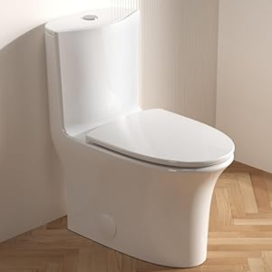 Dual Flush Elongated Standard One Piece Toilet