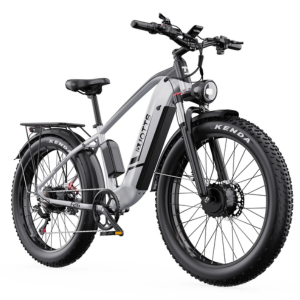 DUOTTS F26 48V Fat Tire eBike