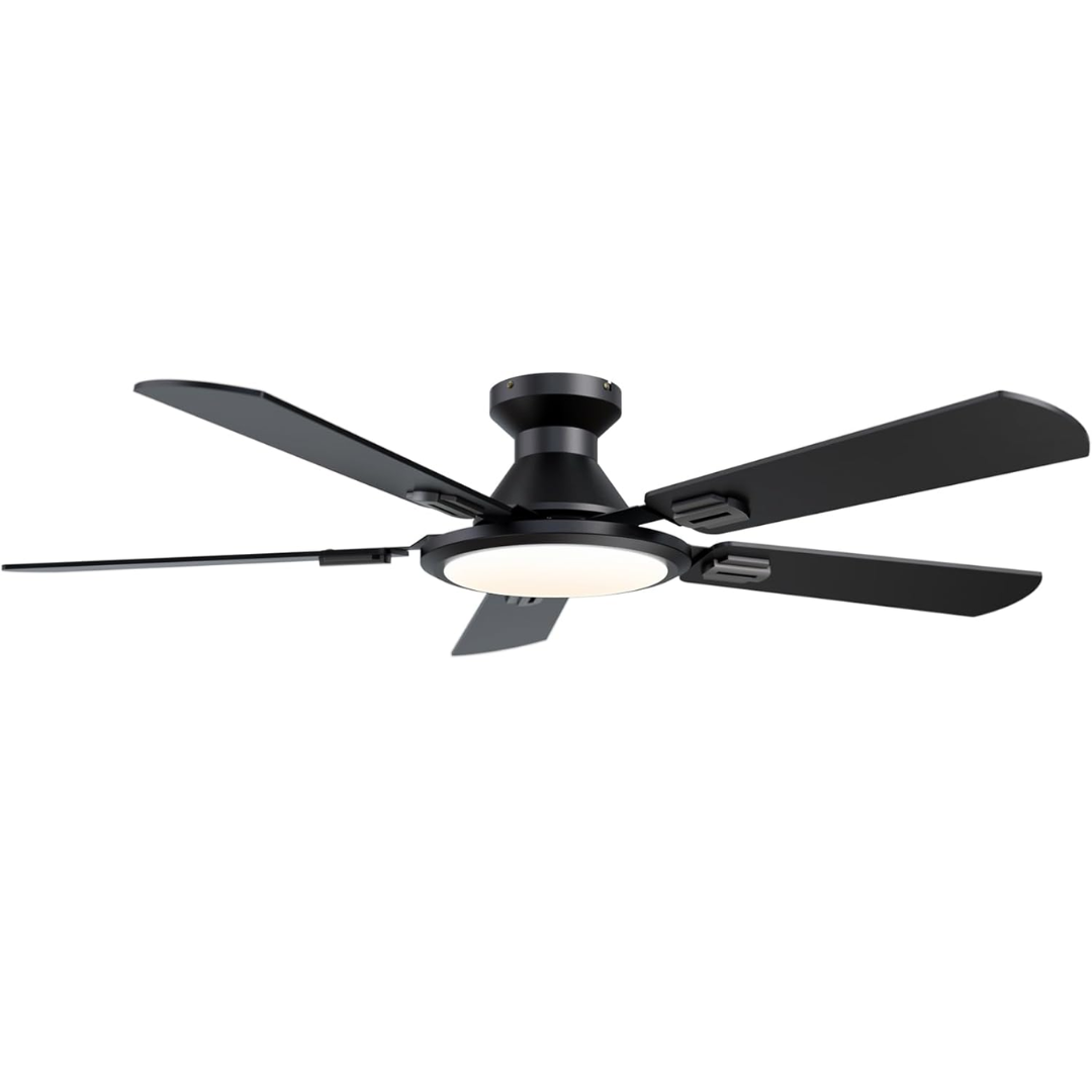 TCL 52