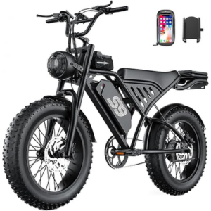Fat Tire 2500W 36mph Electric Dirt Bike