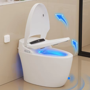 Smart Heated Toilet w/Auto Flush & Night Light