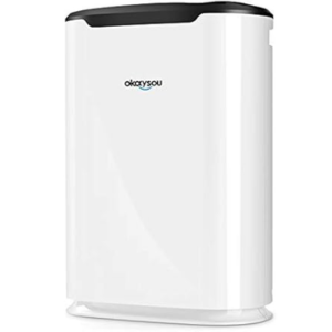 Okaysou 800 sq.ft. HEPA Air Purifier