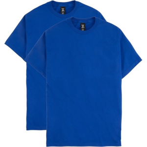 Hanes 2-Pack Men's T-Shirt