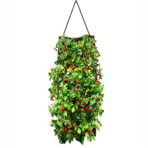 Organic Seed Hanging Planter Bag Kit