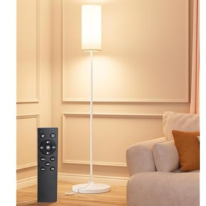 Dimmable LED Floor Lamp w/Remote
