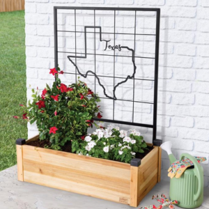 2-Pack Wood Raised Bed w/Metal Texas Trellis