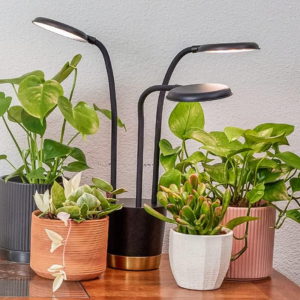 AeroGarden Trio Grow Light w/App