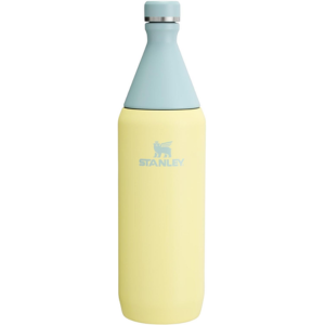 Stanley 34oz Insulated Stainless Steel Bottle