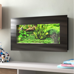 Wall Mount 2Gal. Aquarium Tank