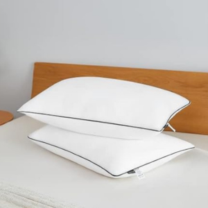 2-Pack Microfiber Bed Pillows