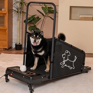 Indoor Dog Training Treadmill