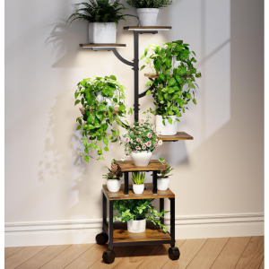 7-Tier 41