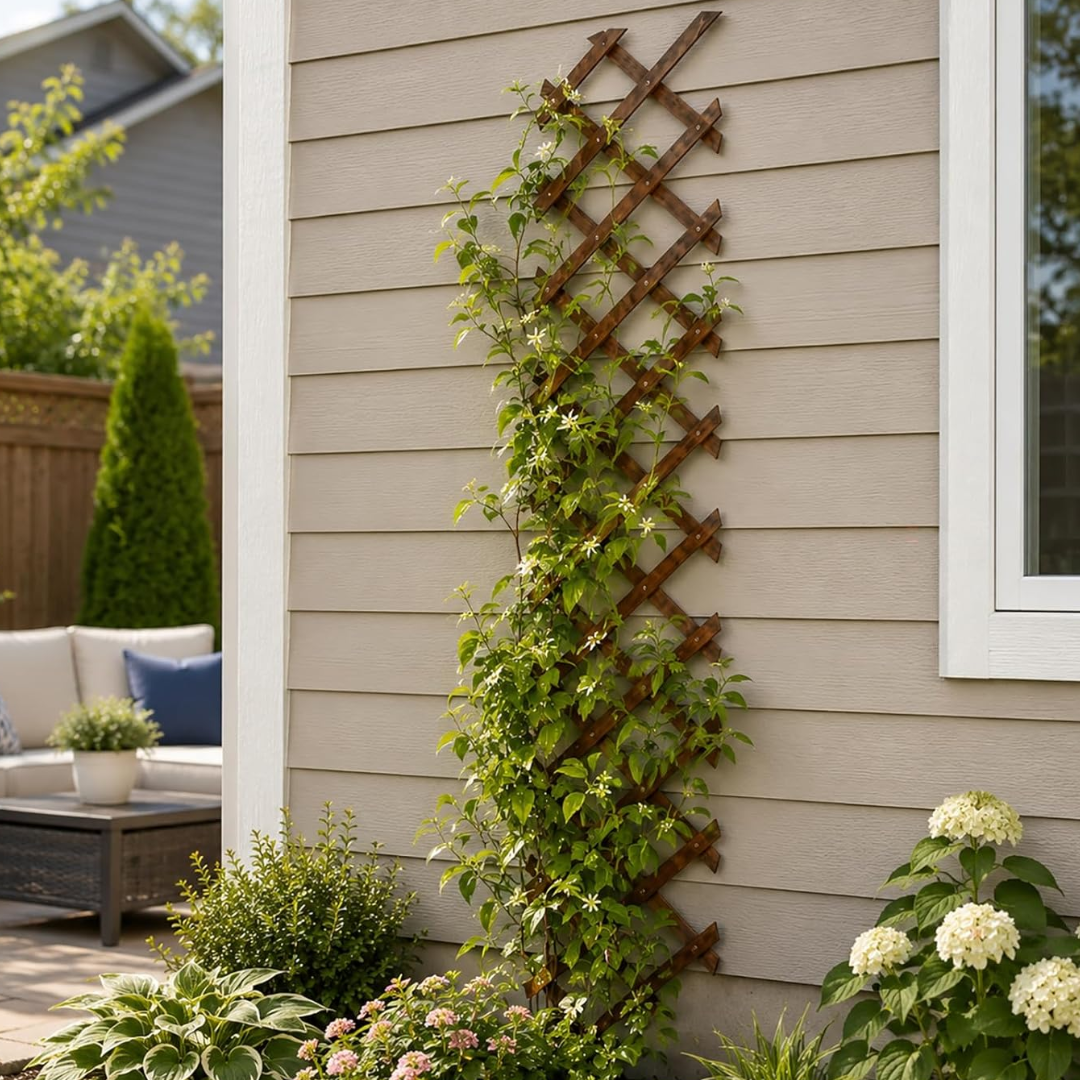 2-Pack Expandable Wood 67