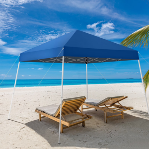 Ktaxon 10' Folding Pop Up Canopy Tent