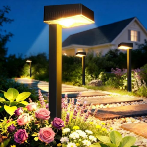 8-Pack Solar Dusk-to-Dawn Pathway Lights