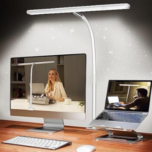 Adjustable Long Gooseneck LED Desk Lamp w/Clamp
