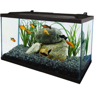 Tetra LED 10Gal Fish Tank Kit