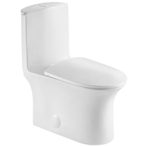 Dual Flush Elongated Standard One Piece Toilet