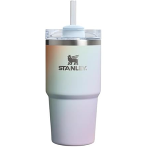 Stanley 20oz Quencher Insulated Tumbler