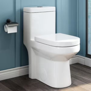 Hanikes One-Piece Dual Flush Toilet