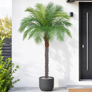 Artificial 5' Phoenix Palm Tree