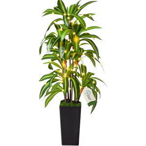 Artificial 5' Lighted Dracaena Tree
