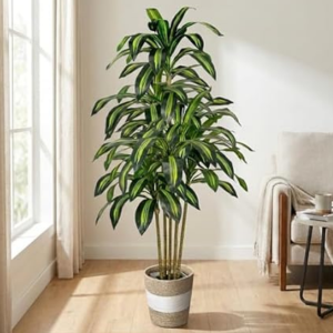 LuceAlberi 5' Artificial Dracaena Tree