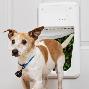 PetSafe Electronic Pet Door