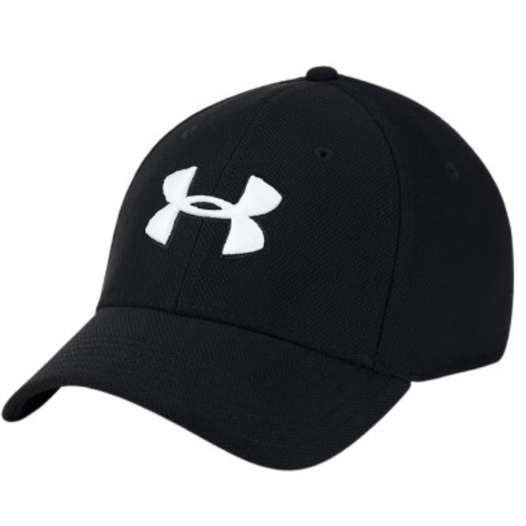 Under Armour Blitzing 3.0 Men's Cap