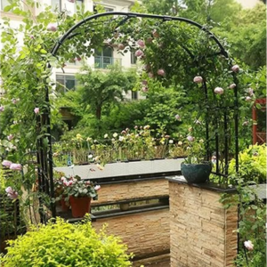 Garden 126