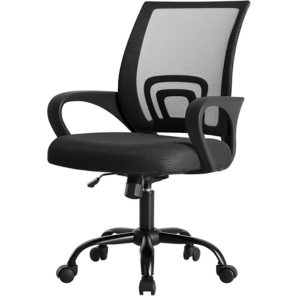 Adjustable Ergonomic Office Chair w/Lumbar Support