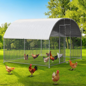 Walk-in 9' Lockable Chicken Coop