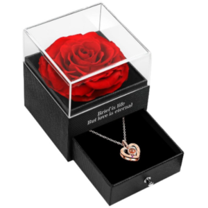 Preserved Red Real Rose w/I Love You Necklace
