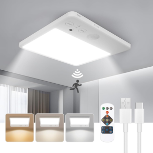 Rechargeable Motion Sensor Ceiling Light w/Remote