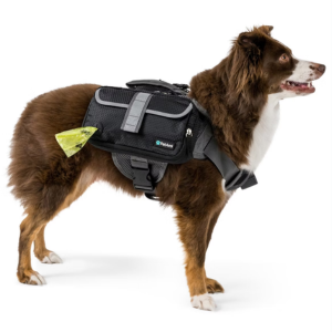 Camping Dog Backpack