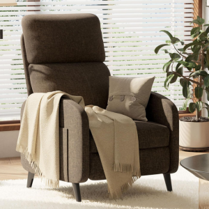 Flexispot Adjustable Recliner Chair