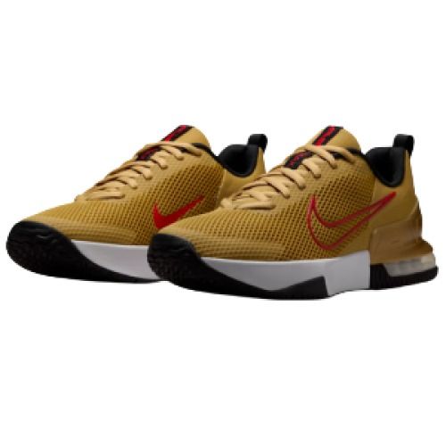 Nike Air Max Alpha Men's Training Shoes