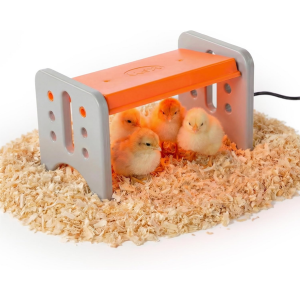 K&H Chicken Brooder Heater
