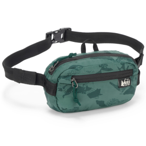 REI Co-op Stuff Travel Waist Pack
